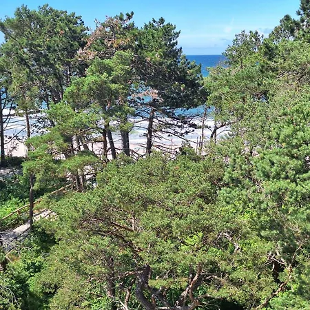 Blue Haven * 포고르젤리차