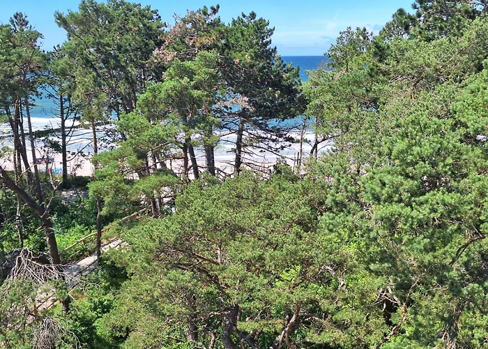 Blue Haven * 포고르젤리차